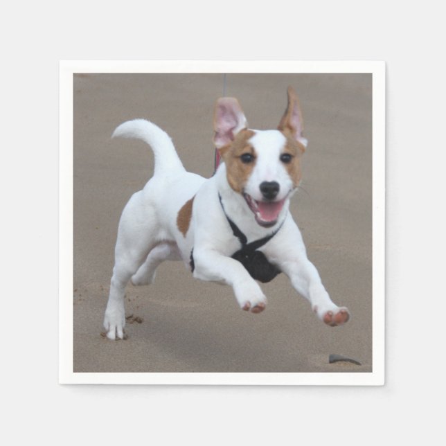 Jack_Russell terrier running 2.png Napkin (Front)