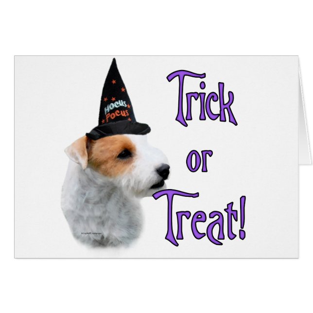 Jack Russell Terrier Trick (Front Horizontal)