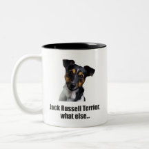 jack russell terrier, what else...