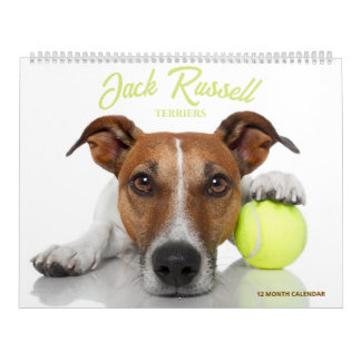 Jack Russell Terriers Calendar