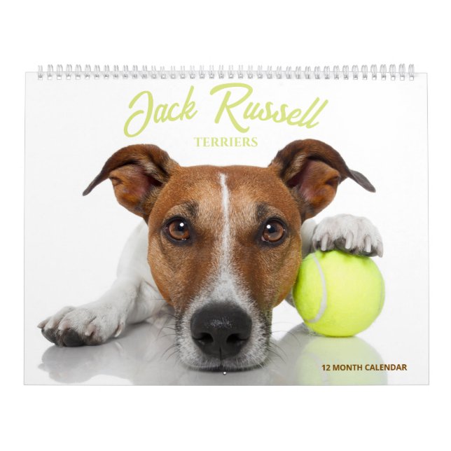 Jack Russell Terriers Calendar (Cover)