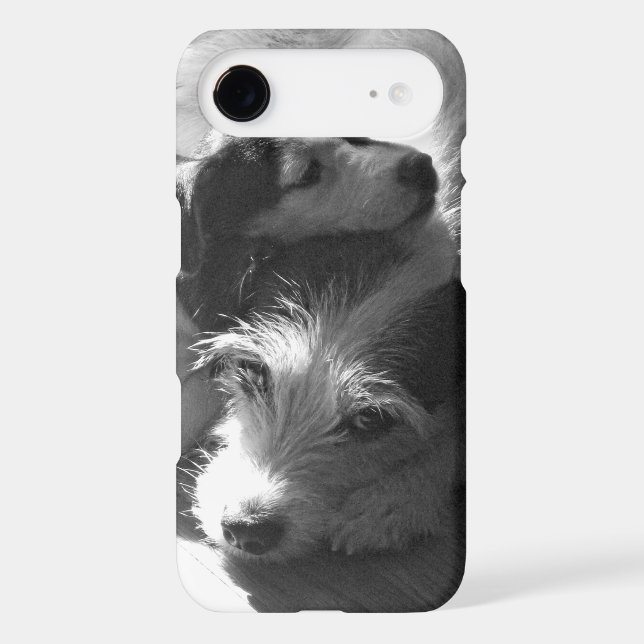 Jack Russell Terriers nap together in the sun Case-Mate iPhone Case (Back)