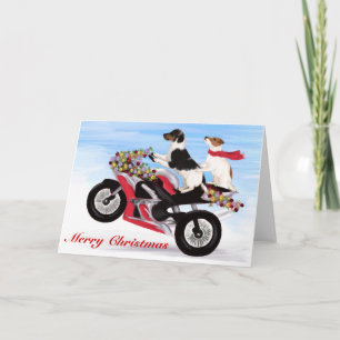 Jack Russell Terriers rides a motorcycle Holiday Card