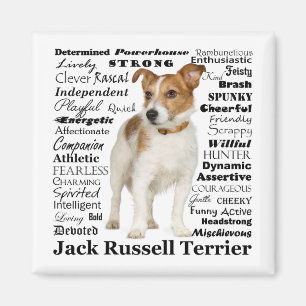 Jack Russell Traits Magnet
