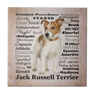 Jack Russell Traits Tile