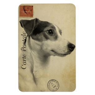 Jack Russell Vintage Postcard Magnet