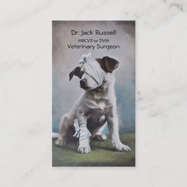 Jack Russell with bandages veterinarian Business Card (Front)