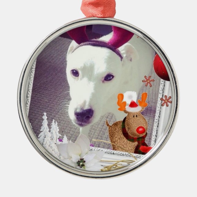 Jack Russell Xmas Metal Tree Decoration (Front)