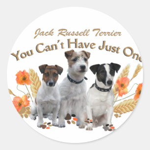 Jack Russell You Can't Have Just One Gifts Classic Round Sticker