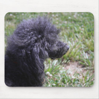 Jack T. Poodle Mouse Mat