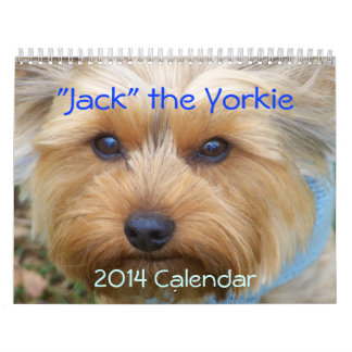 "Jack" the Yorkie - 2014 Calendar