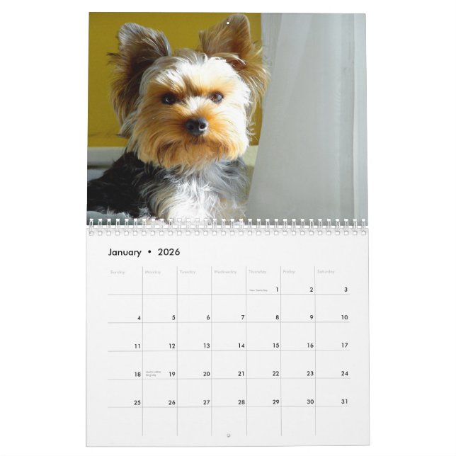 "Jack" the Yorkie - 2014 Calendar (Jan 2026)