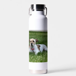 Jack water bottle