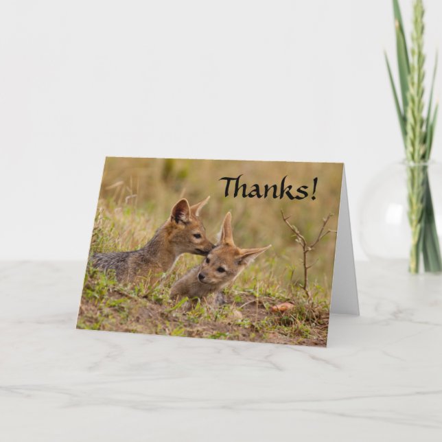 Jackal Cub Thank You Card (Front)