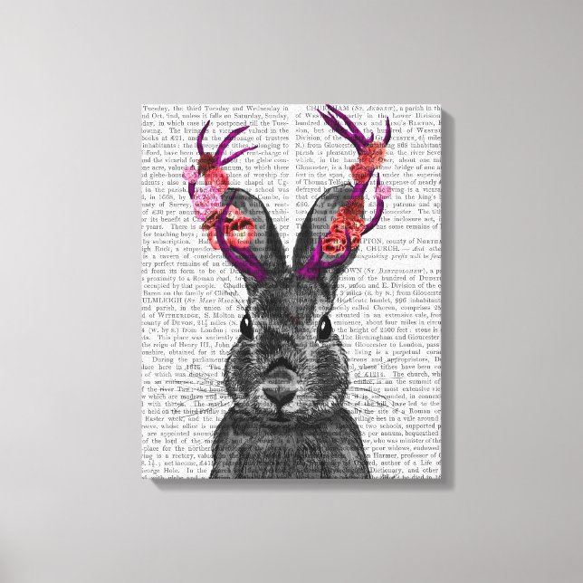 Jackalope with Pink Antlers Canvas Print (Front)
