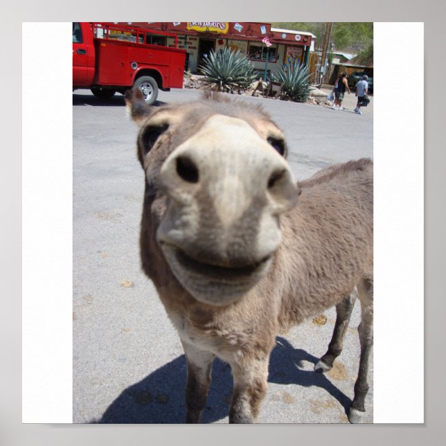 Jackass 002 poster (Front)