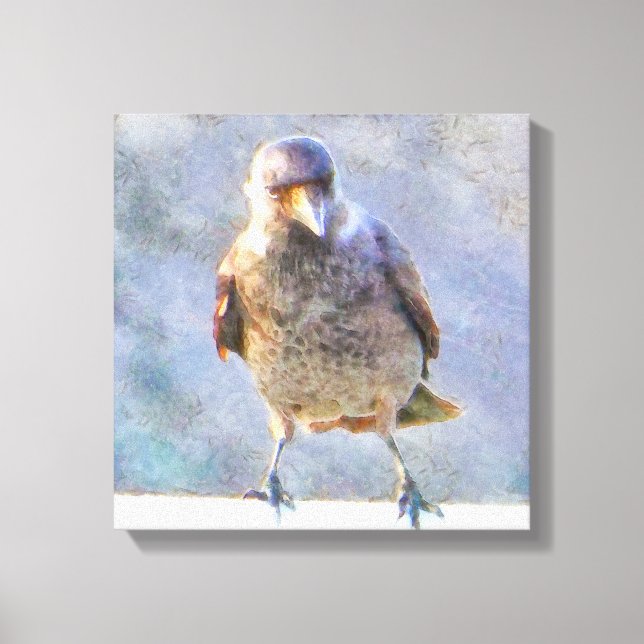 Jackdaw Watercolor Canvas Print (Front)