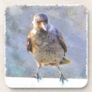Jackdaw Watercolor Coaster