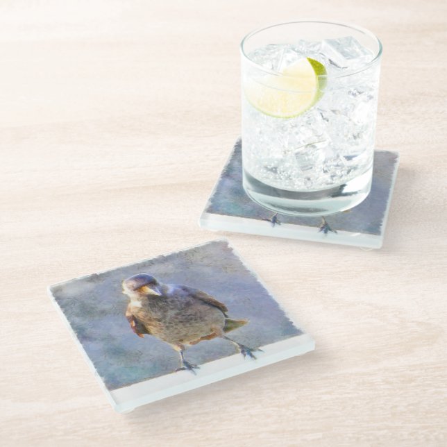 Jackdaw Watercolor Glass Coaster (Angled)