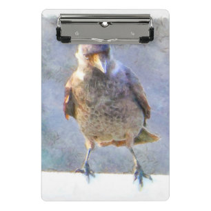 Jackdaw Watercolor Mini Clipboard