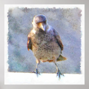 Jackdaw Watercolor Poster