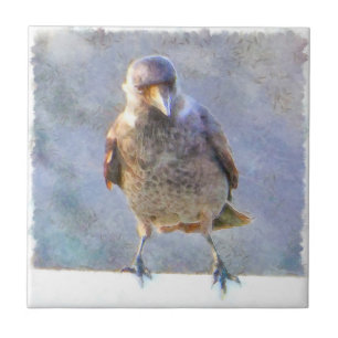 Jackdaw Watercolor Tile