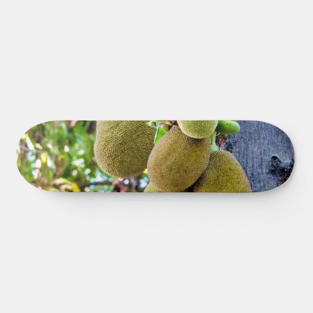 Jackfruit Skateboard (Horz)
