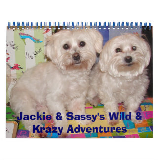Jackie & Sassy's Wild & Krazy Adventures Calendar