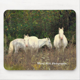 Jack's Fork Wild Horses Mouse Pad