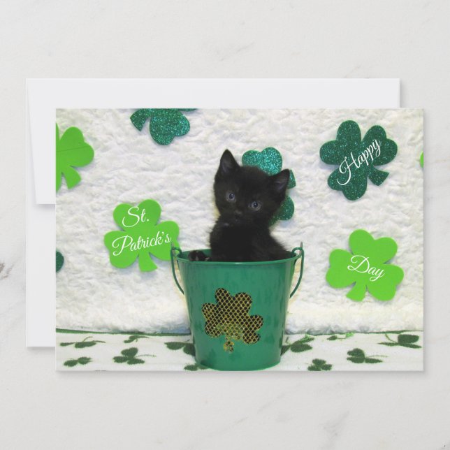 Jack's St. Patrick's Day  Cat/ Kitten  - Flat Card (Front)