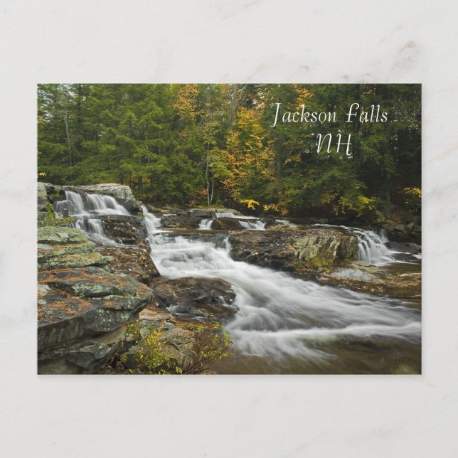 Jackson Falls, NH   Postcard (Front)