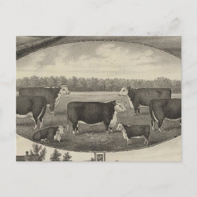 Jackson Farm, Kansas Postcard (Front)