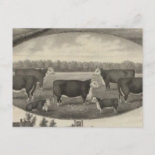 Jackson Farm, Kansas Postcard