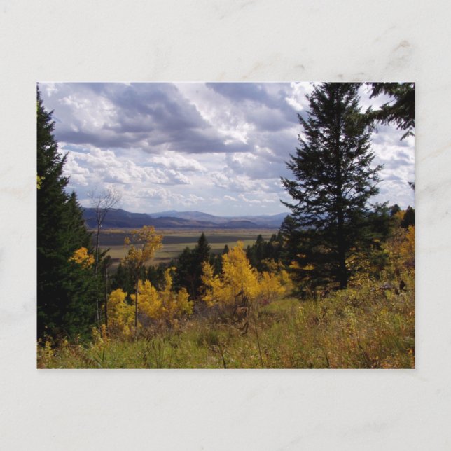Jackson Hole Series Postcard (Front)