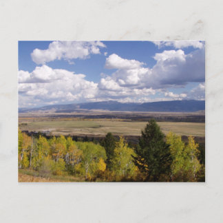 Jackson Hole Series Postcard