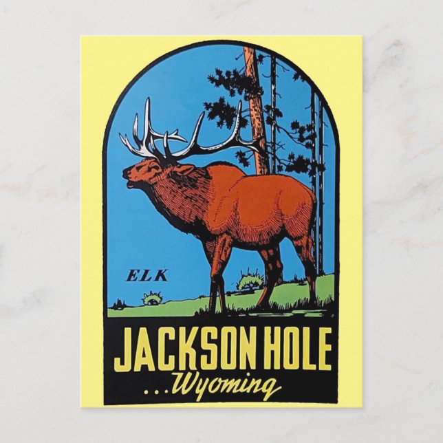 Jackson Hole Wyoming  vintage travel Postcard (Front)