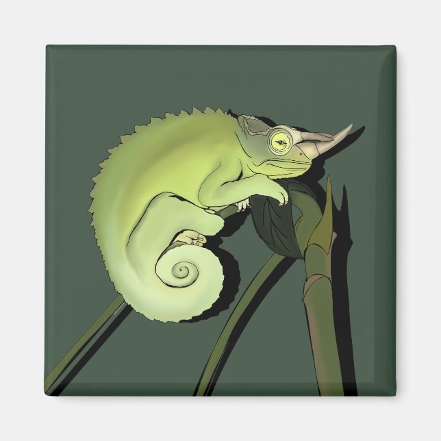 Jackson’s Chameleon Magnet (Front)