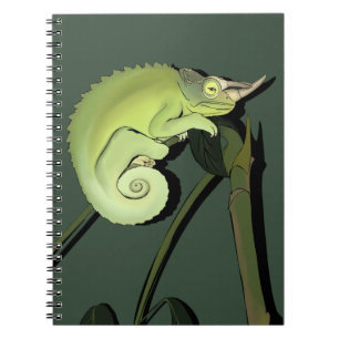 Jackson’s Chameleon Notebook
