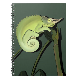 Jackson’s Chameleon Notebook
