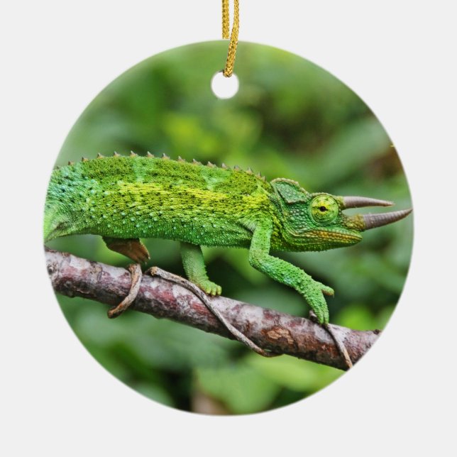 Jacksons Chameleon Ceramic Tree Decoration (Front)