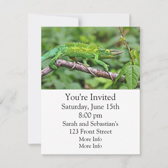 Jacksons Chameleon Invitation (Front)