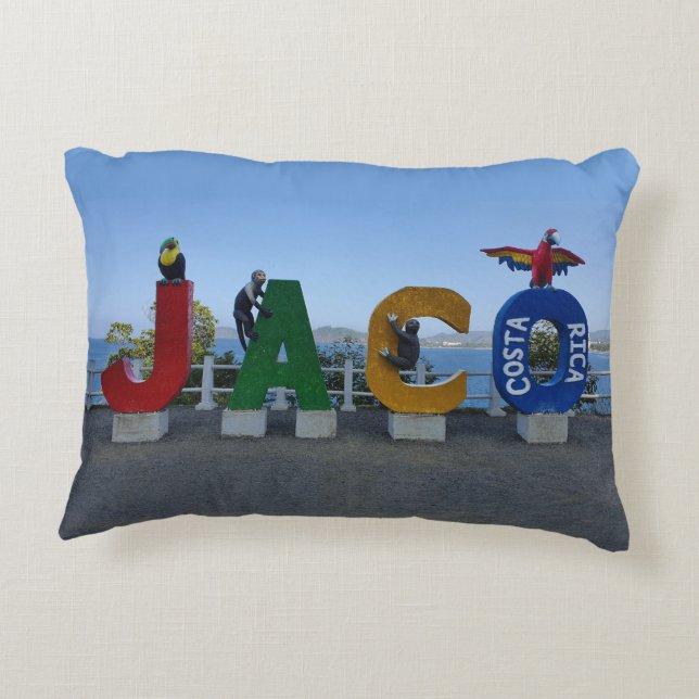Jaco Sign Pillow (Back)