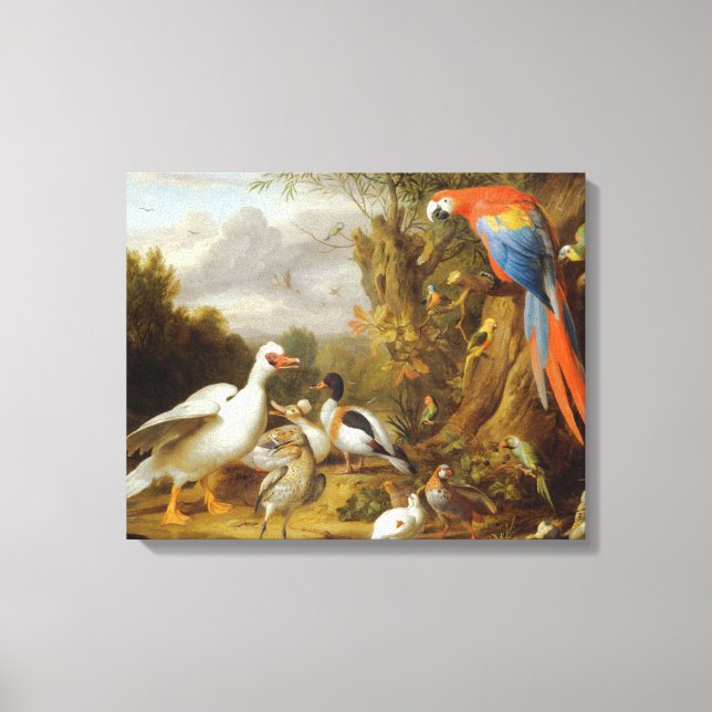 Jacob Bogdani A Macaw Ducks Parrots and Other Bird Canvas Print (Front)