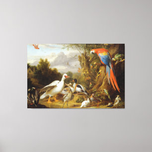 Jacob Bogdani A Macaw Ducks Parrots and Other Bird Canvas Print
