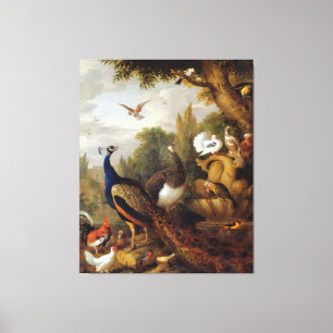 Jacob Bogdani Peacock Peahen Parrots Canary Canvas Print