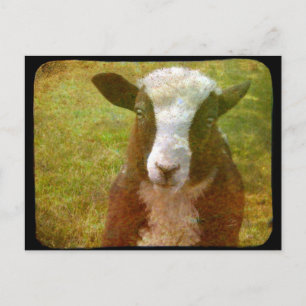 Jacob Lamb Postcard