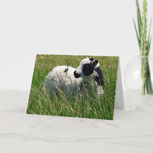 Jacob Ram Lamb Easter Card