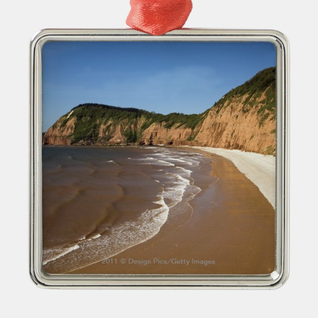 Jacob's Ladder Bay Metal Tree Decoration (Front)