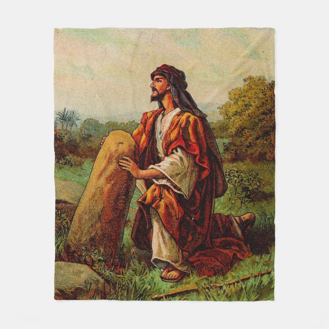 Jacobs Vision and Gods Promise  Fleece Blanket (Front)