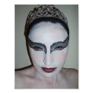 Jacqui B Black Swan Photo Print